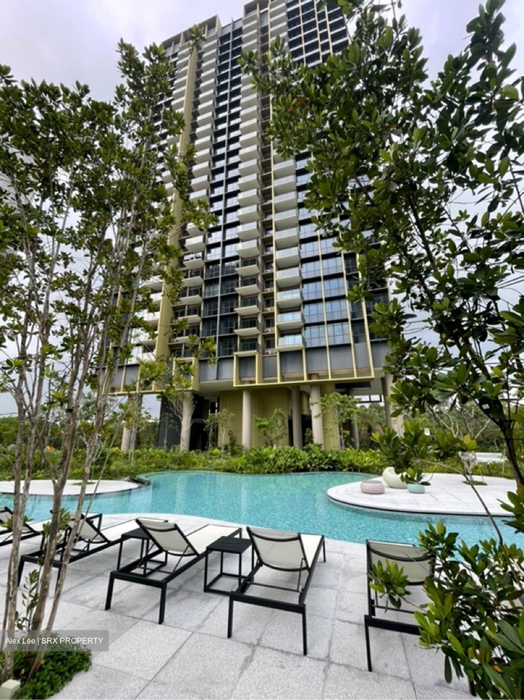 Pinetree Hill (D21), Condominium #636850311